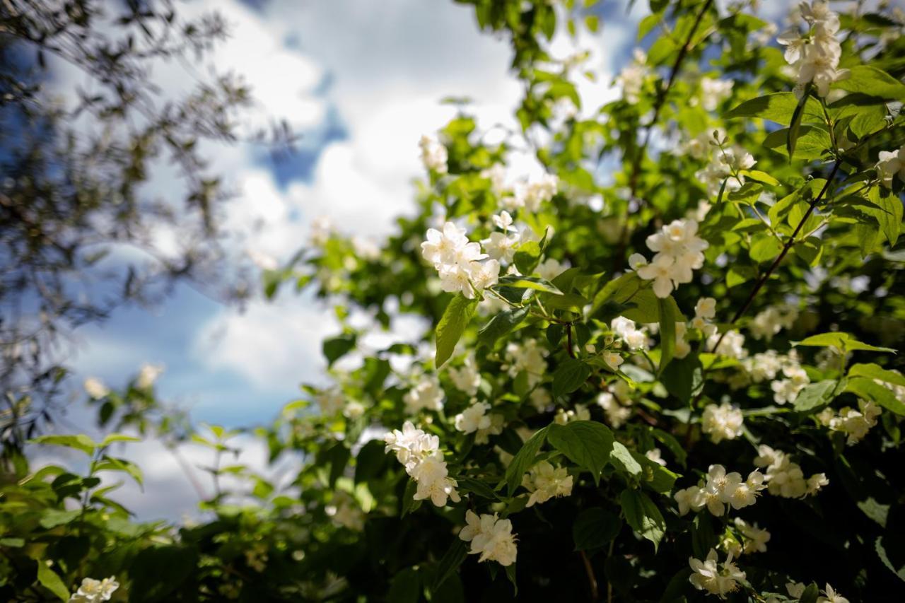 مبيت وإفطار بيمونت Il Giardino المظهر الخارجي الصورة