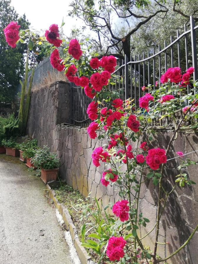 مبيت وإفطار بيمونت Il Giardino المظهر الخارجي الصورة